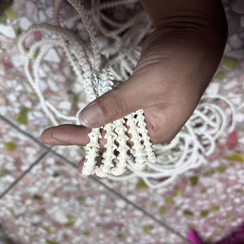 Real Snake Bone Beads Strand – Polished DIY Jewelry Making Material