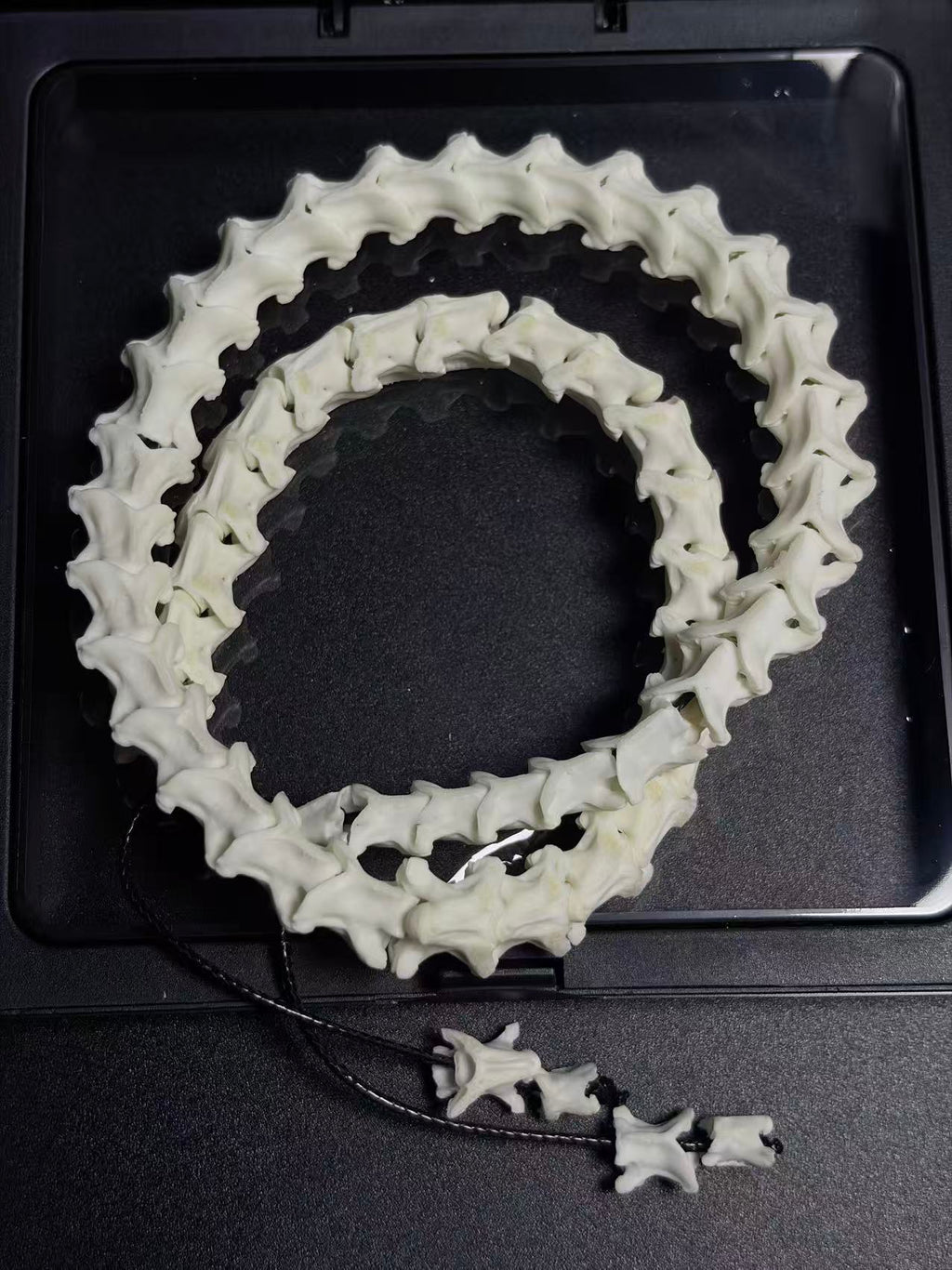 Real Snake Bone Wrap Bracelet – Pure Vertebrae Chain, Double Wrap Adjustable | Raw Dark Style
