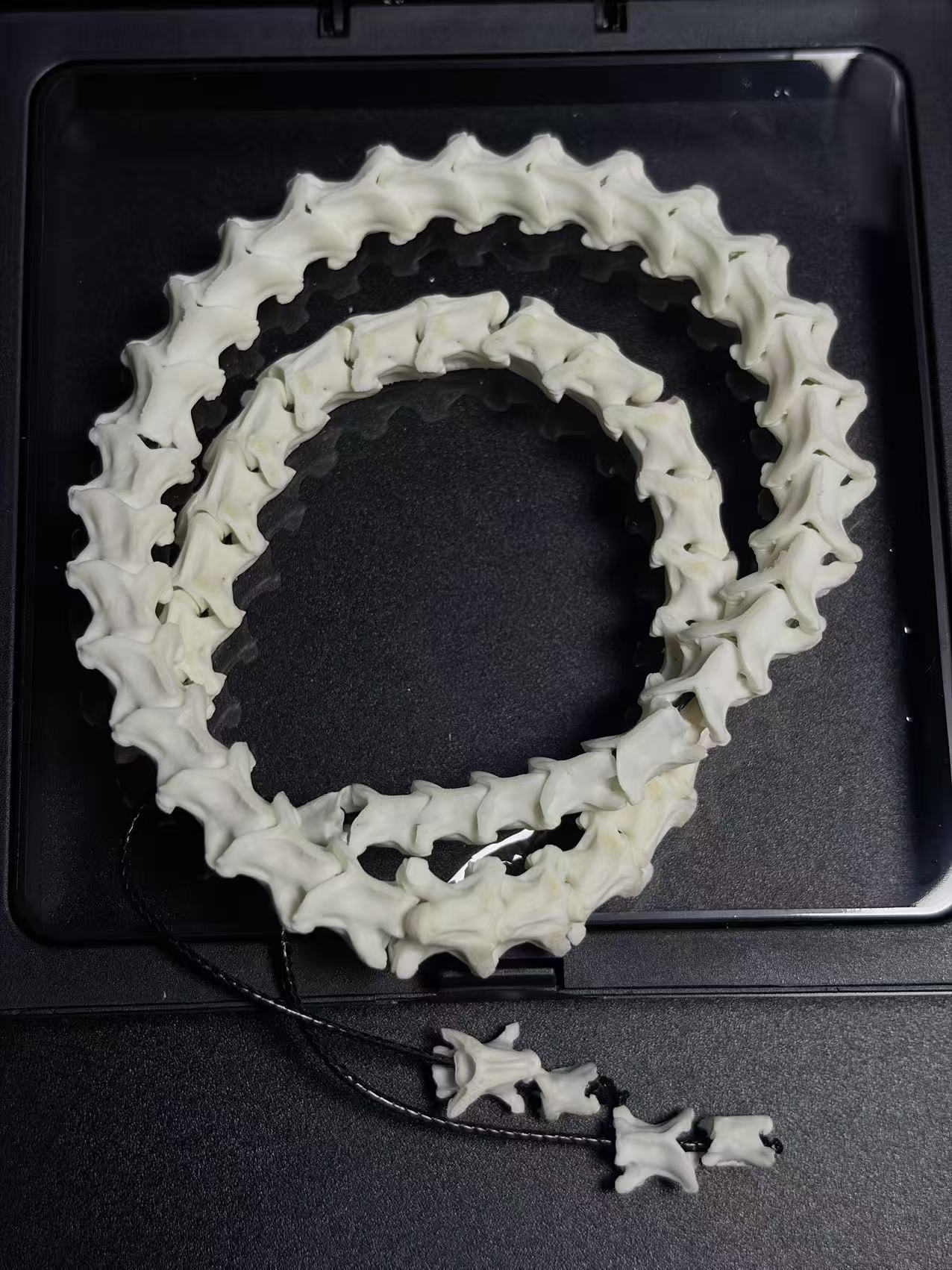 Real Snake Bone Wrap Bracelet – Pure Vertebrae Chain, Double Wrap Adjustable | Raw Dark Style