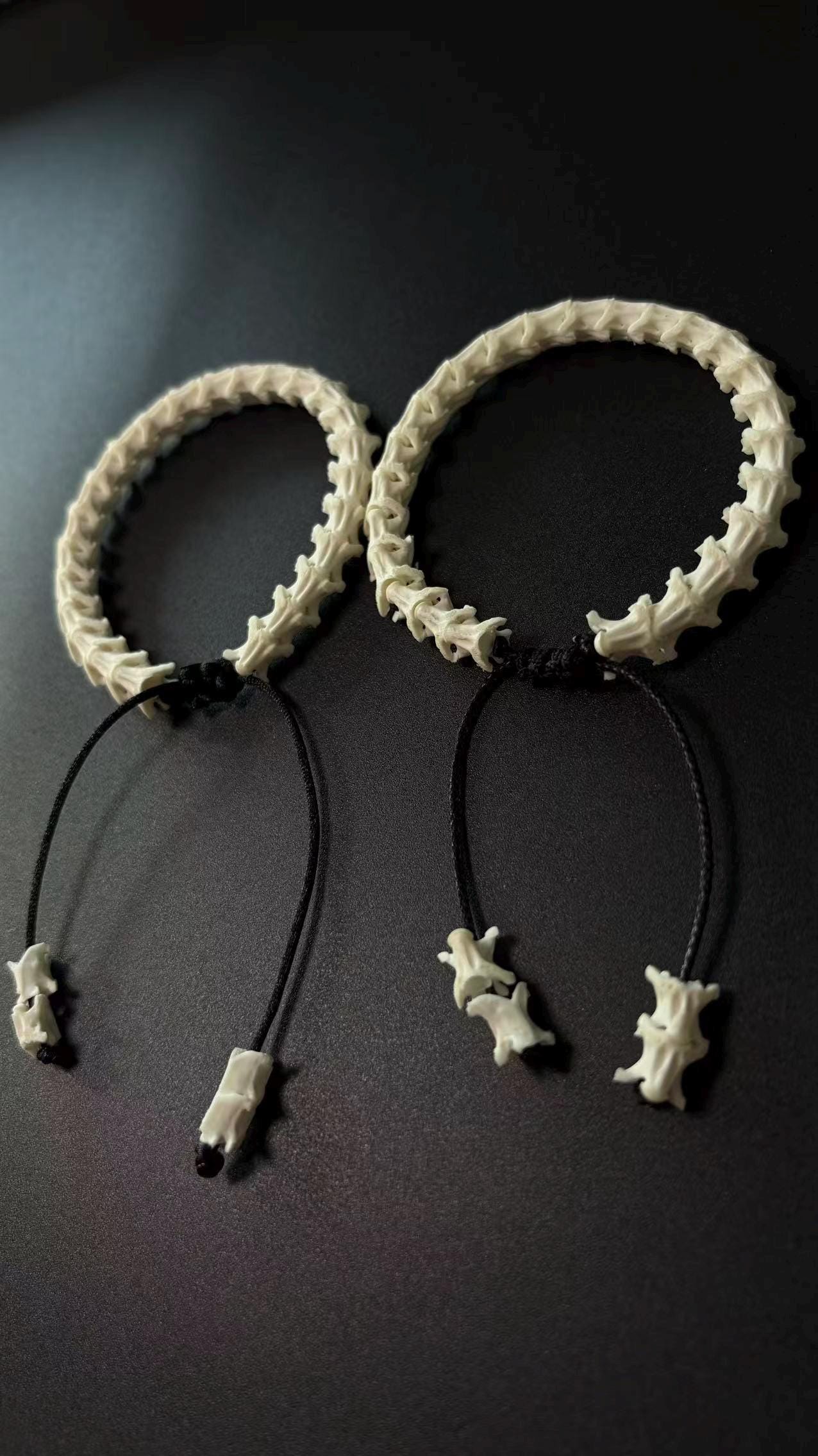 Real Snake Vertebrae Bracelet | Minimalist Bone Spine Wristband