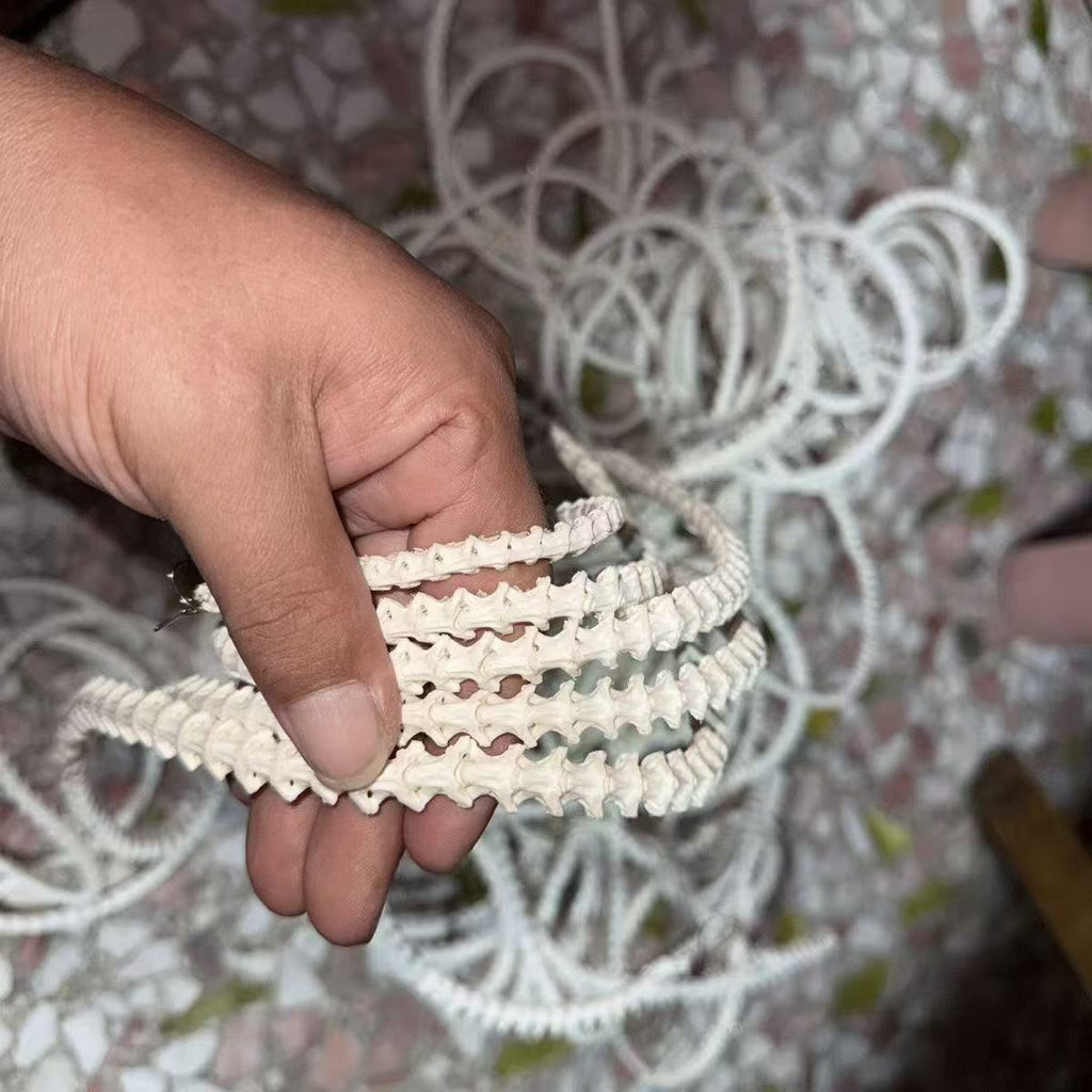Real Snake Bone Beads Strand – Polished DIY Jewelry Making Material