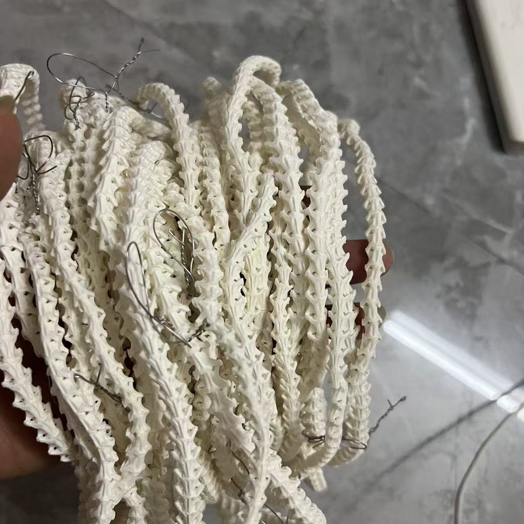 Real Snake Bone Beads Strand – Polished DIY Jewelry Making Material