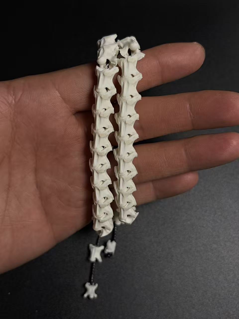 Real Snake Bone Wrap Bracelet – Pure Vertebrae Chain, Double Wrap Adjustable | Raw Dark Style