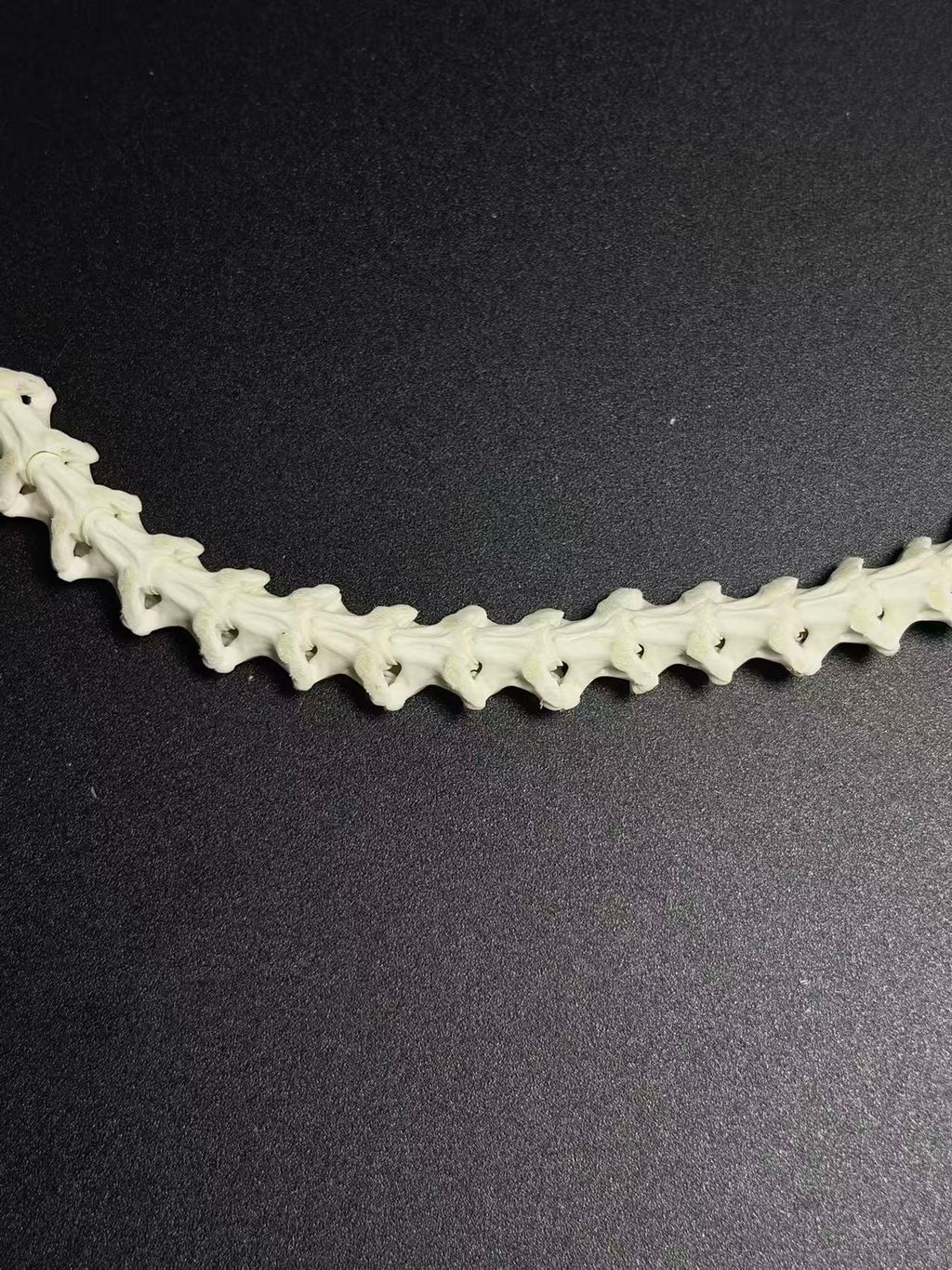 Real Snake Bone Wrap Bracelet – Pure Vertebrae Chain, Double Wrap Adjustable | Raw Dark Style