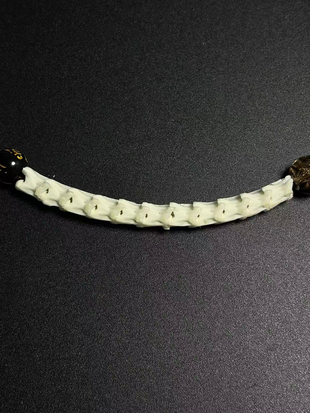 Real Snake Bone Bracelet – Five Wealth Gods Thangka Hand-Painted Disc Beads, Five Colors & Silver Butterfly Charm | Tibetan Fortune Jewelry