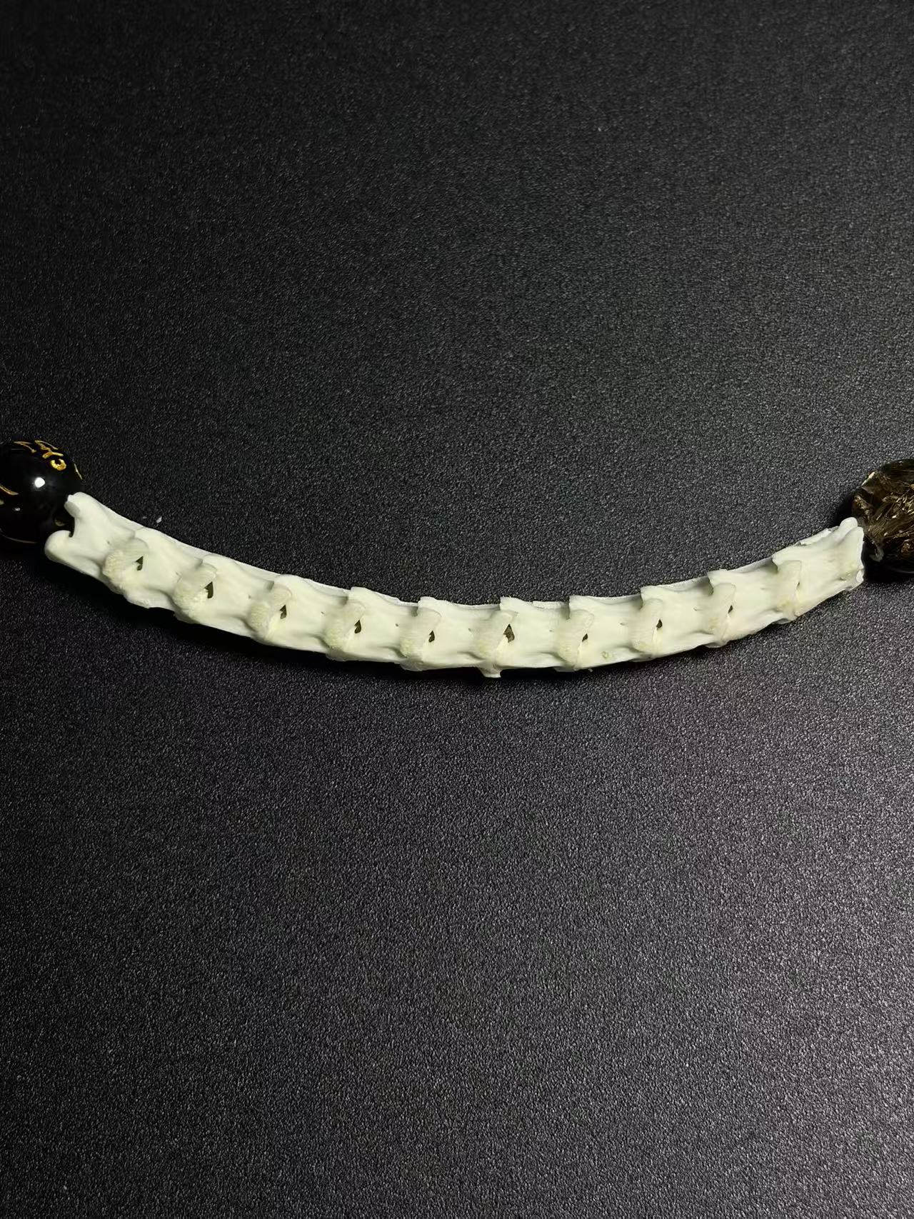 Real Snake Bone Bracelet – Five Wealth Gods Thangka Hand-Painted Disc Beads, Five Colors & Silver Butterfly Charm | Tibetan Fortune Jewelry