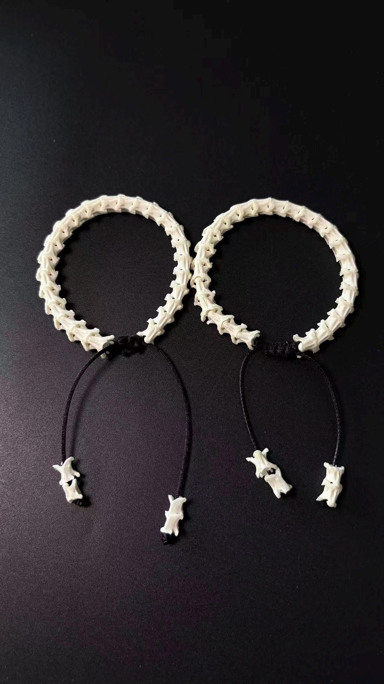 Real Snake Vertebrae Bracelet | Minimalist Bone Spine Wristband