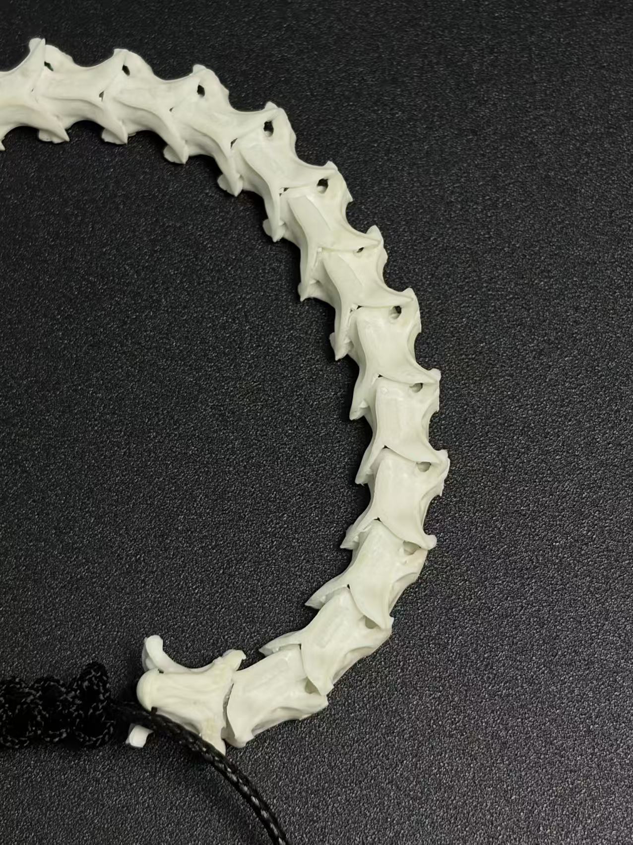 Real Snake Bone Bracelet – Pure Single Wrap Vertebrae Chain, No Beads, Bone Cord Tips | Raw Minimalist Dark Style