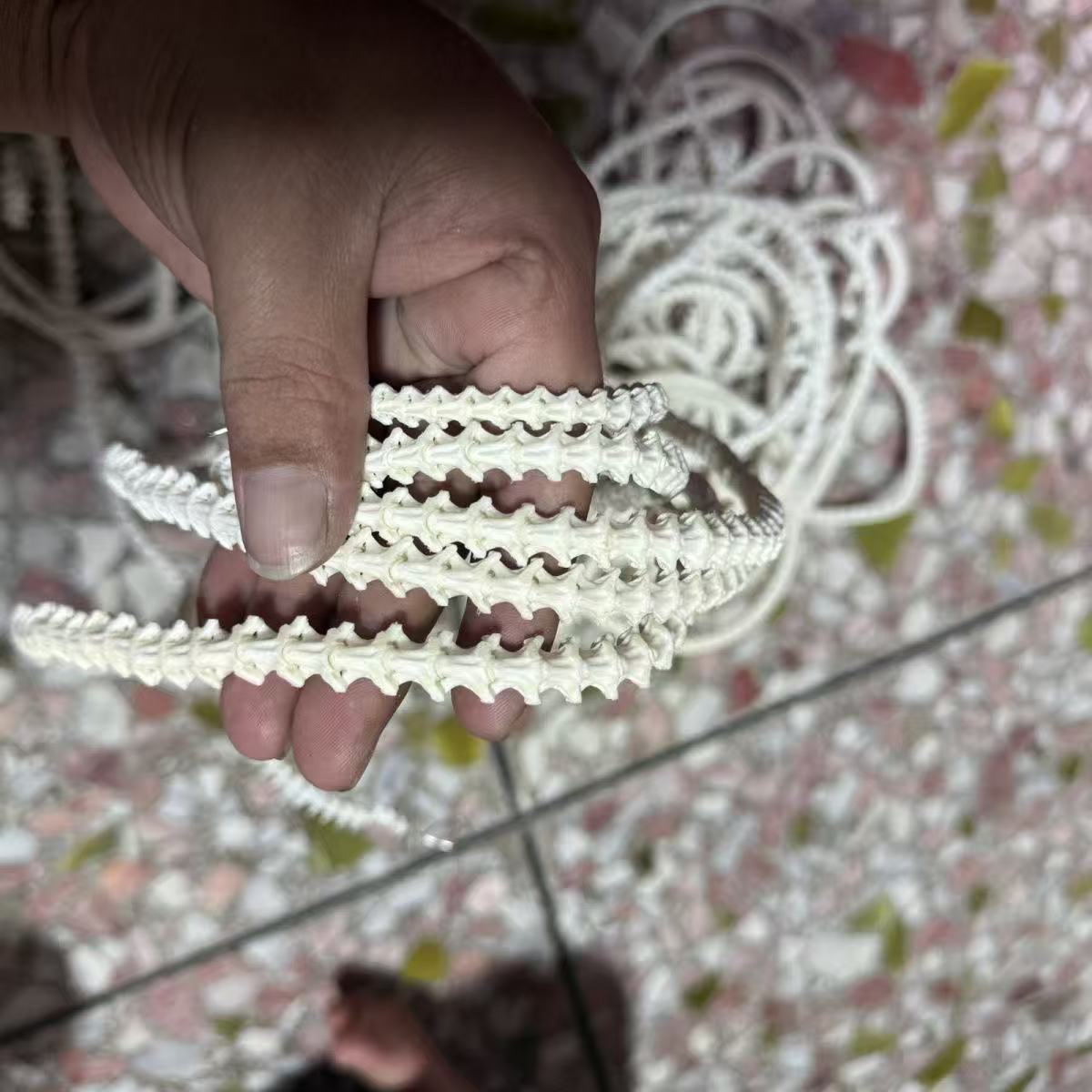 Real Snake Bone Beads Strand – Polished DIY Jewelry Making Material