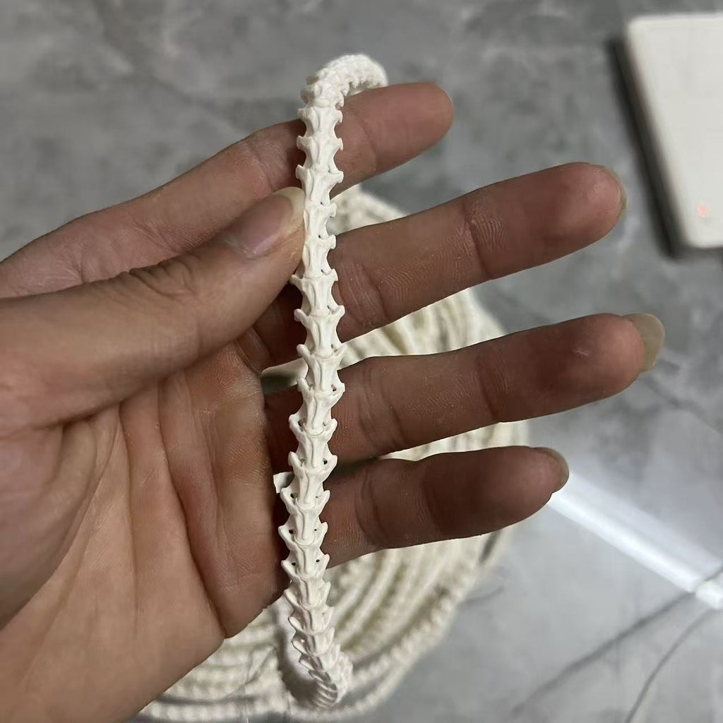 Real Snake Bone Beads Strand – Polished DIY Jewelry Making Material