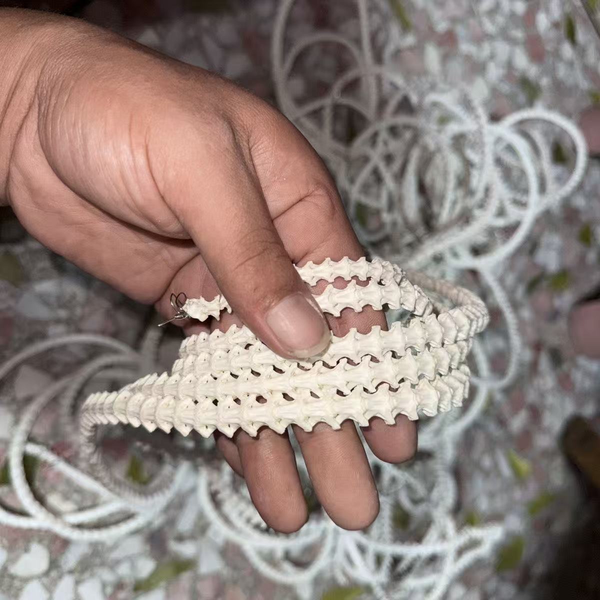 Real Snake Bone Beads Strand – Polished DIY Jewelry Making Material