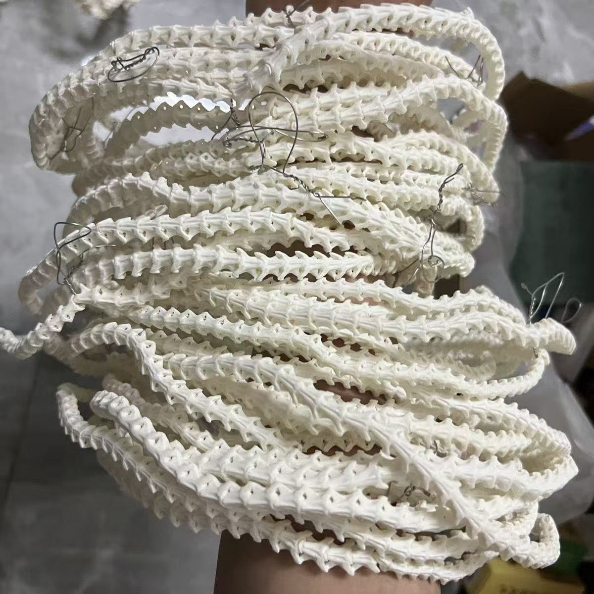 Real Snake Bone Beads Strand – Polished DIY Jewelry Making Material