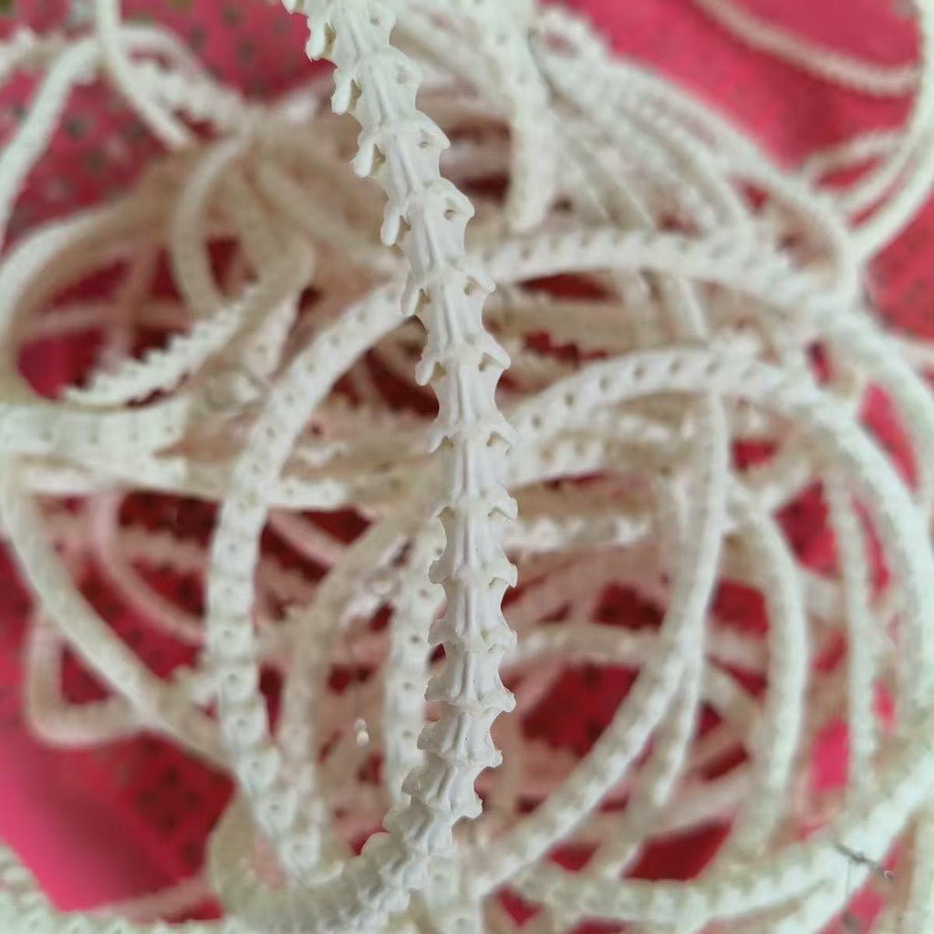 Real Snake Bone Beads Strand – Polished DIY Jewelry Making Material