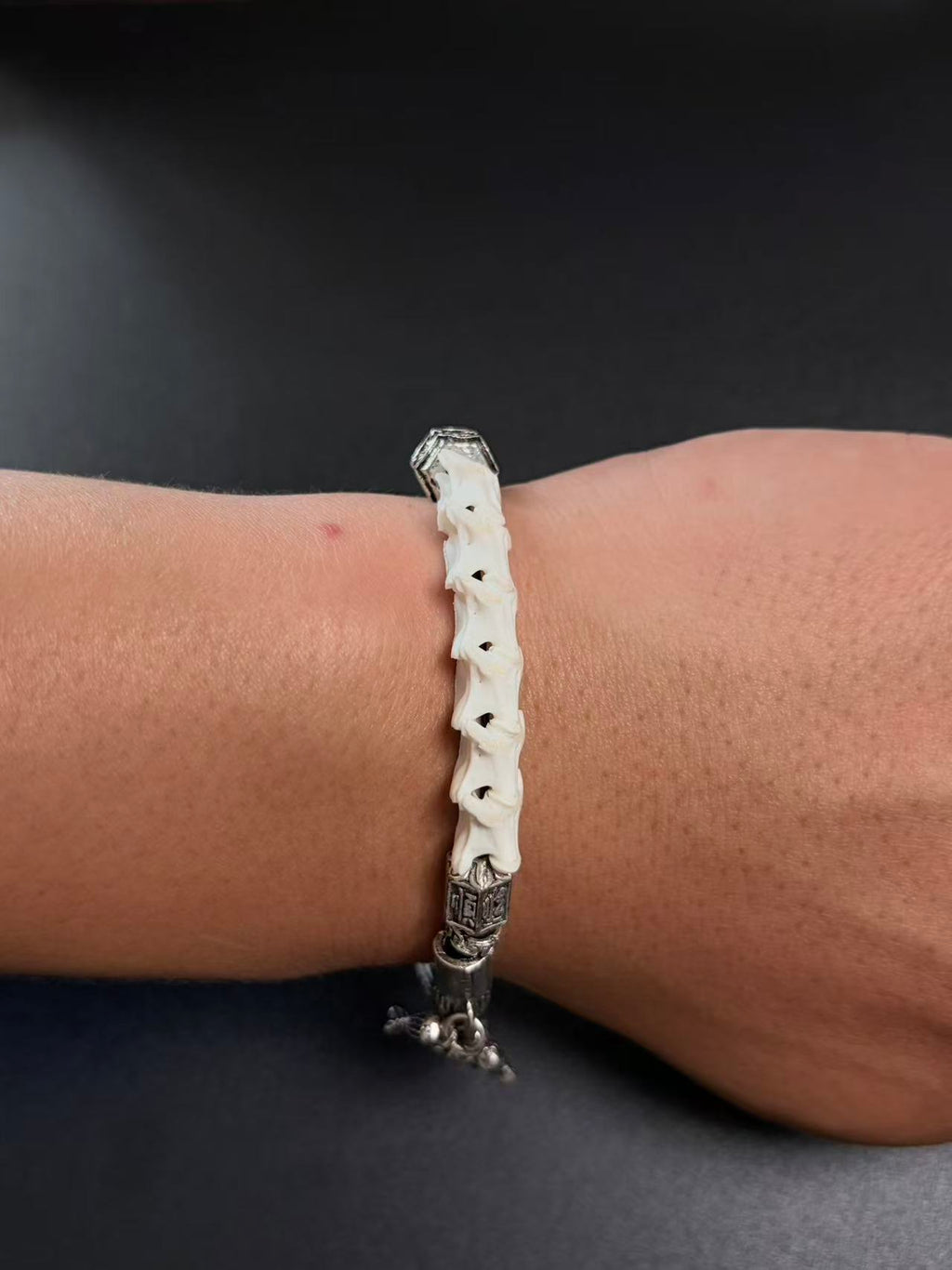 Real Snake Bone Bracelet – Skull Charm, Fish Scale Centerpiece & Bone Bead Gothic Dark Style