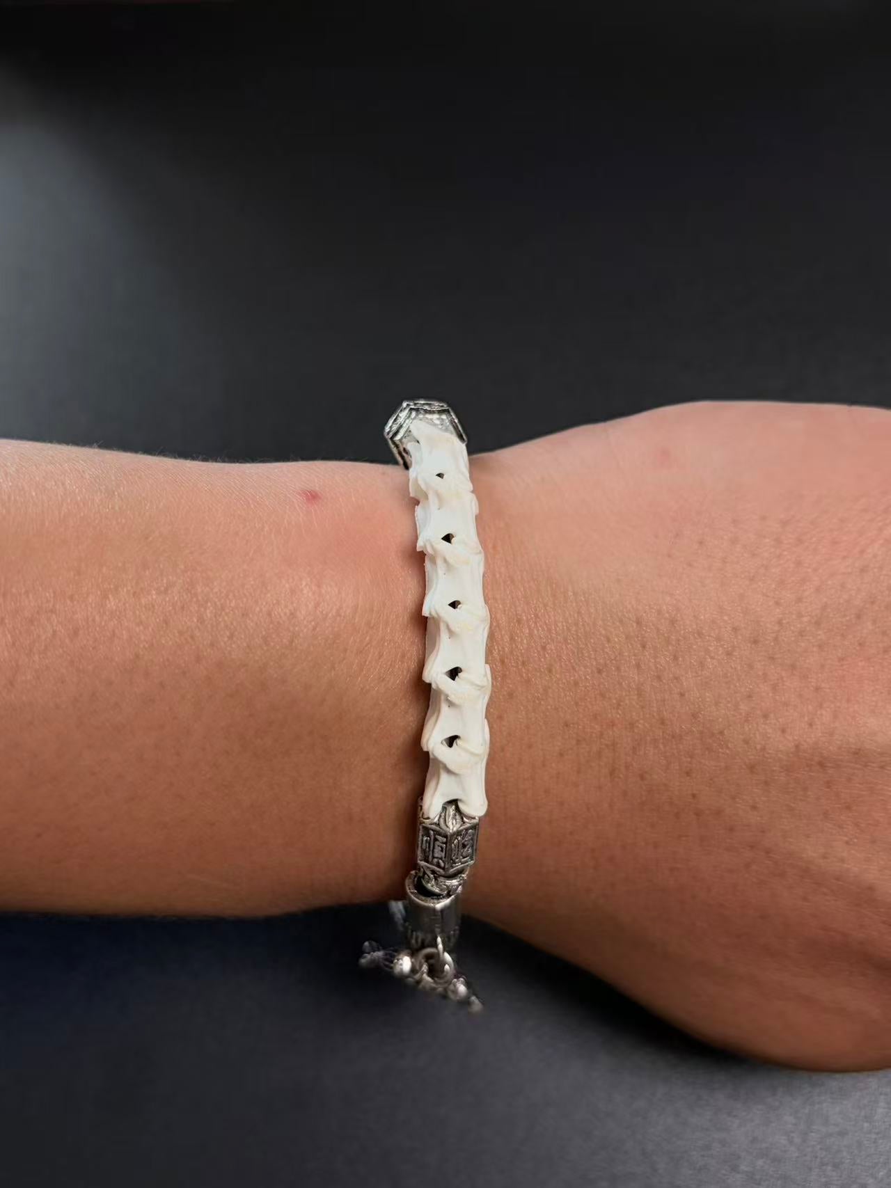 Real Snake Bone Bracelet – Skull Charm, Fish Scale Centerpiece & Bone Bead Gothic Dark Style