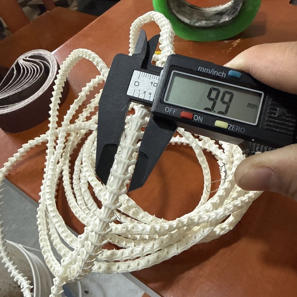 Real Snake Bone Beads Strand – Polished DIY Jewelry Making Material