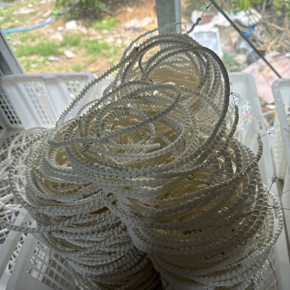 Real Snake Bone Beads Strand – Polished DIY Jewelry Making Material